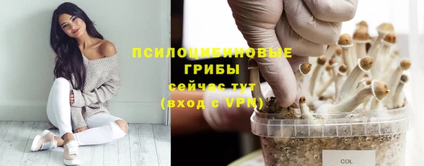 мдпв Покачи