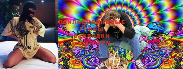 мдпв Покачи