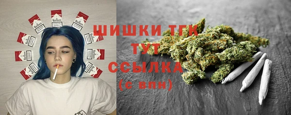 мдпв Покачи