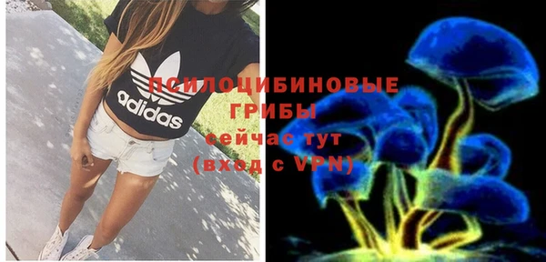 мдпв Покачи