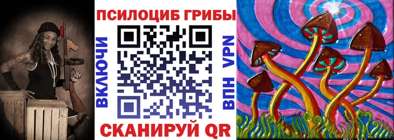 Купить где  Кизляр  Галлюциногенные грибы Psilocybe 